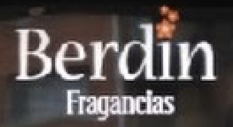 Berdin